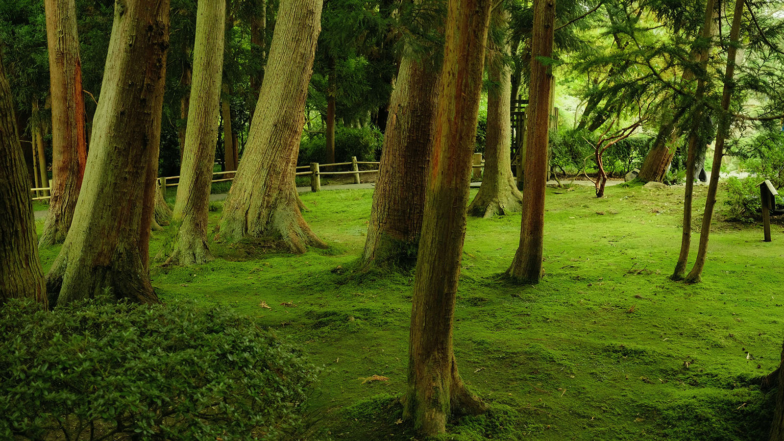 Brand Foundations - BrandOps - Charlie Xray