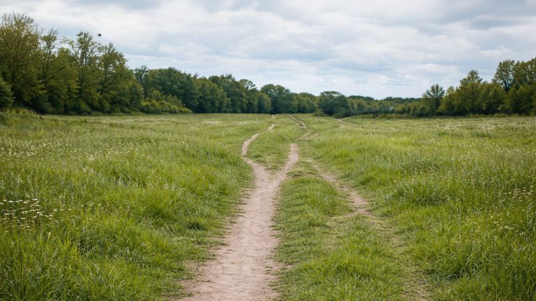 Brand Drift in Business - BrandOps Framework