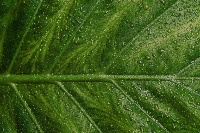 How to manage a rebrand rollout - Charlie Xray BrandOp